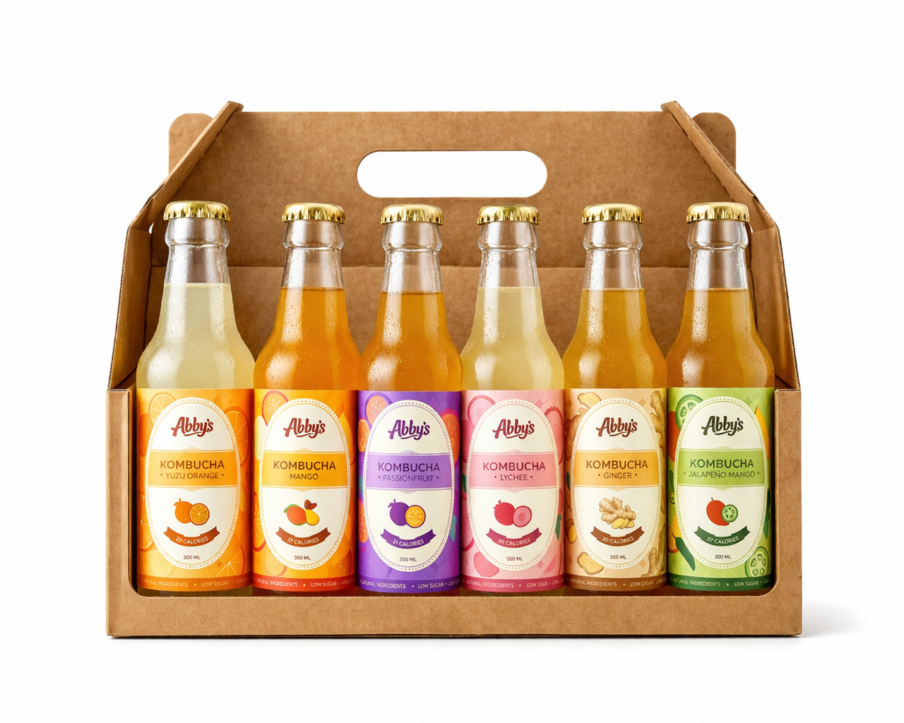 Kombucha(Pack of 6)