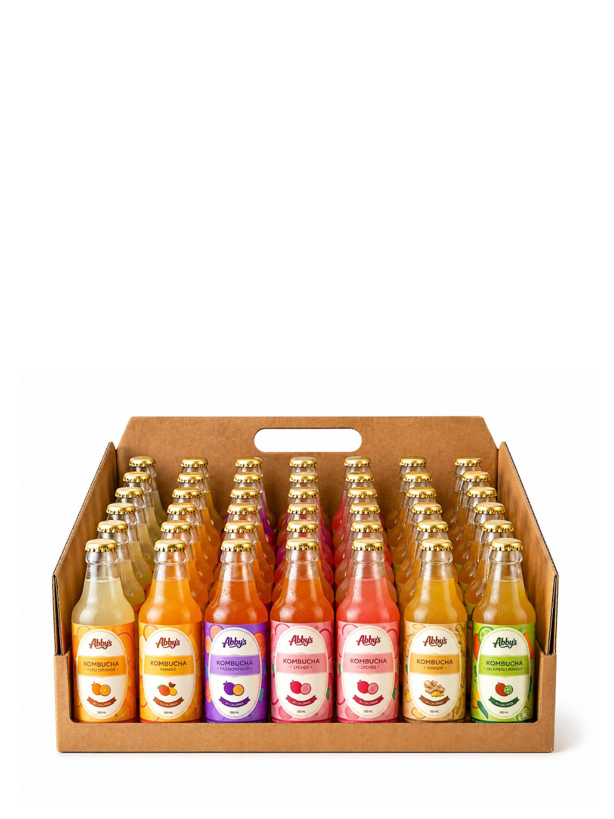 Kombucha(Pack of 12)